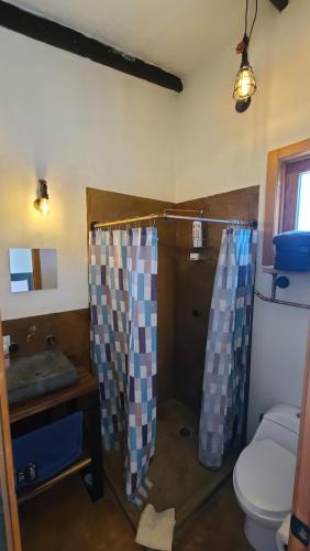 a bathroom with a toilet and a shower and a sink at Bungalow con alberca Privada y Climatizada en Tequisquiapan in Tequisquiapan