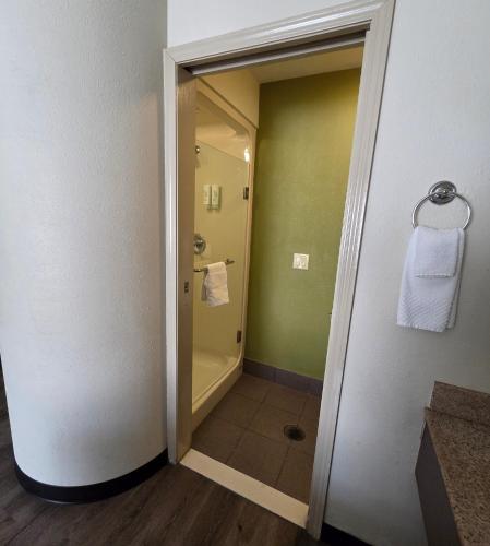 a bathroom with a walk in shower and a toilet at Austinburg Hotel in Austinburg
