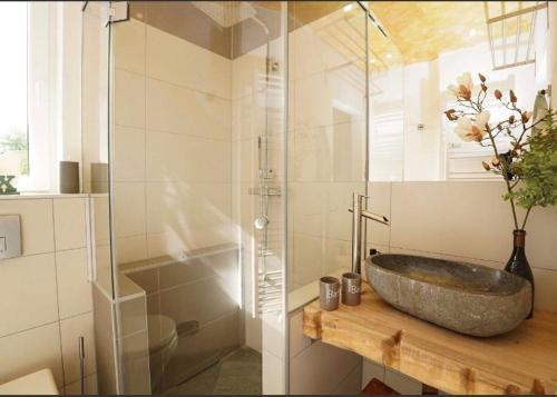 a bathroom with a stone sink and a glass shower at Traum Ferienwohnung Kell am See in Kell