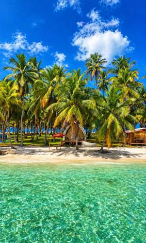 a beach with palm trees and turquoise water at camping eco demar achu in Cayos Los Grullos