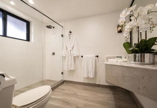 a white bathroom with a toilet and a sink at Hotel Royal Spa in Zimapán