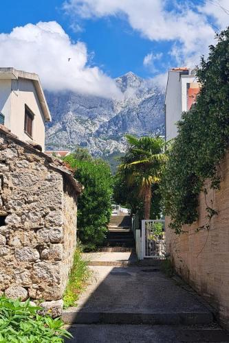 Apartments by the sea Makarska - 25386