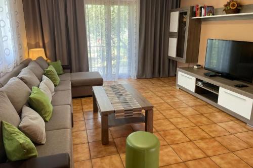 Family-friendly apartments with swimming pool Novigrad - 25170