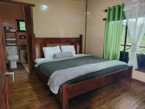a bedroom with a bed with a green curtain at Cielo nocturno Perez Zeledon in Berlín