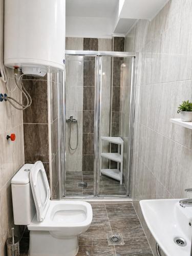 a bathroom with a shower and a toilet and a sink at Nastov Apartments in Veles