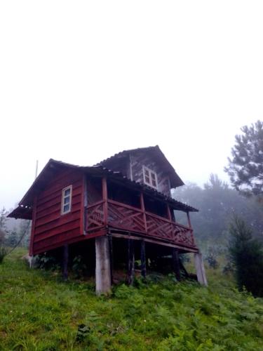 ein Haus, das auf einem Hügel thront in der Unterkunft Bosque de Niebla in Tlatlauquitepec