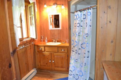 uma casa de banho com um lavatório e uma cortina de chuveiro em Aux Retrouvailles em Lac-Mégantic