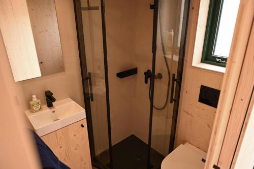 a bathroom with a shower and a sink at Tiny House Nook 2 - Green&Tiny Hideaway Eider in Süderstapel