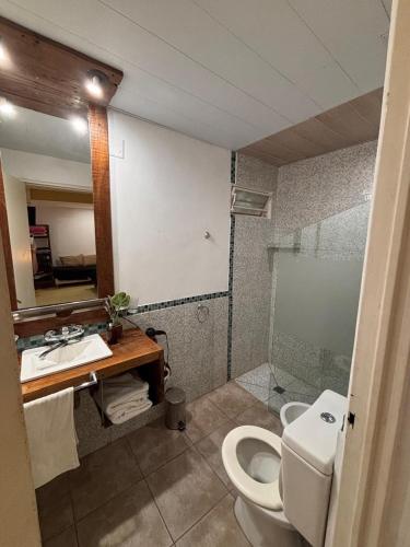 a bathroom with a toilet and a sink and a mirror at monoambiente huellas2 in La Rioja