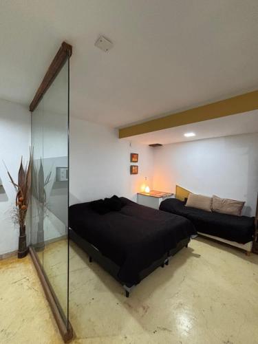 a bedroom with two beds and a glass wall at monoambiente huellas2 in La Rioja