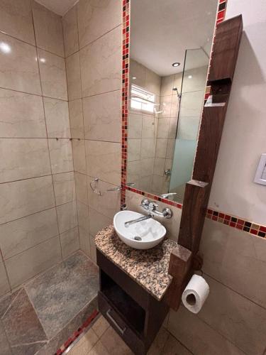 a bathroom with a sink and a mirror at Loft in La Rioja
