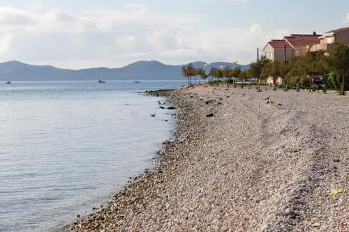 Apartments by the sea Zadar - 25556