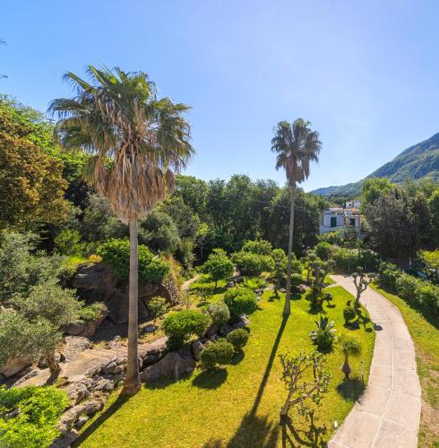 an aerial view of a garden with palm trees at Villa Marecoco in Forio d'Ischia