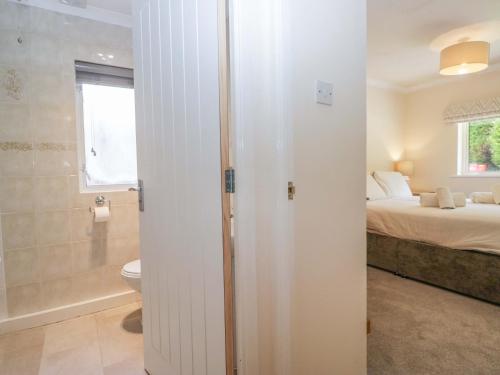 a bathroom with a shower and a toilet in a room at Chestnut Timber Lodge in Keswick