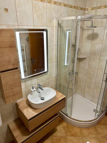 a bathroom with a sink and a shower at Alf Rab in Rab