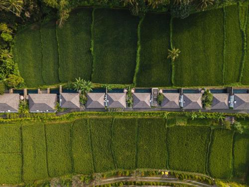 Kaamala Resort & Spa Ubud by Ini Vie Hospitality — Bird's eye view