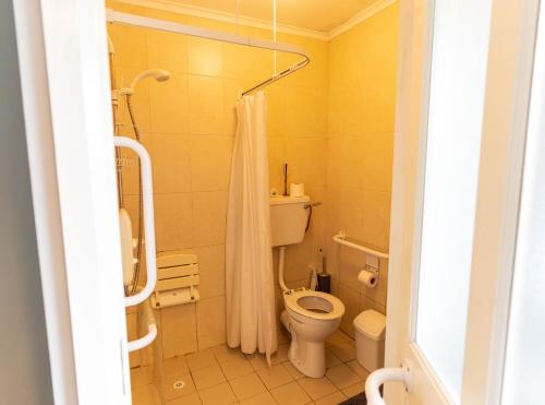 a bathroom with a toilet and a shower at Beentee View - Cahersiveen in Cahersiveen