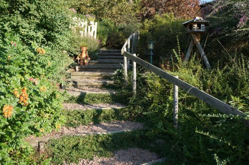 a dog sitting on the stairs in a garden at Auberge du Thiollet in Montromant