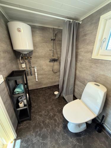 a bathroom with a toilet and a shower at Lilla Risingegården in Risinge