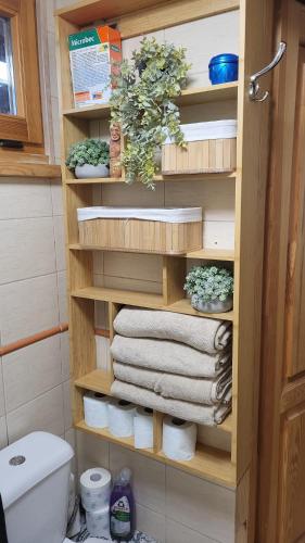 a towel rack with towels and plants in a bathroom at Forest Sulimówka - dom na wyłączność z dala od sąsiadów in Ruda Kameralna
