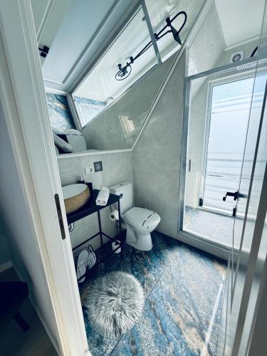 a small bathroom with a toilet and a window at Doinita House in Borşa