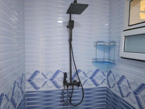 a shower in a bathroom with blue and white tiles at Ali guest house Samarkand in Aman-Kutan