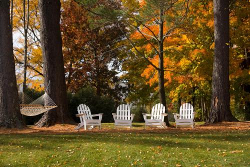 four white chairs and a hammock in a park at The Inn at Manchester in Manchester