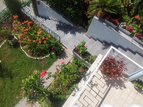 an overhead view of a garden with flowers and plants at Panorama Apartments in Budva