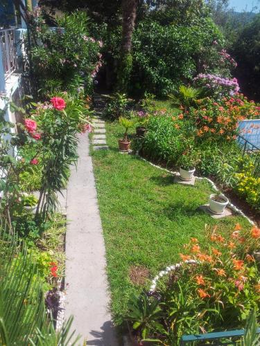 a garden with colorful flowers and plants at Panorama Apartments in Budva