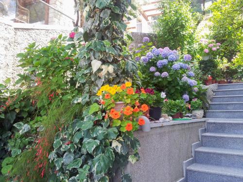 a bunch of flowers in pots on a wall at Panorama Apartments in Budva