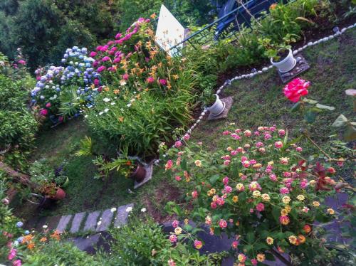 a garden with many different flowers and plants at Panorama Apartments in Budva
