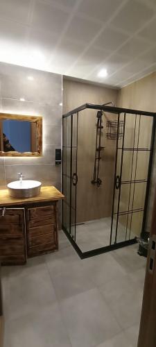 a bathroom with a shower and a sink at Merze Suit Otel in Çamlıhemşin
