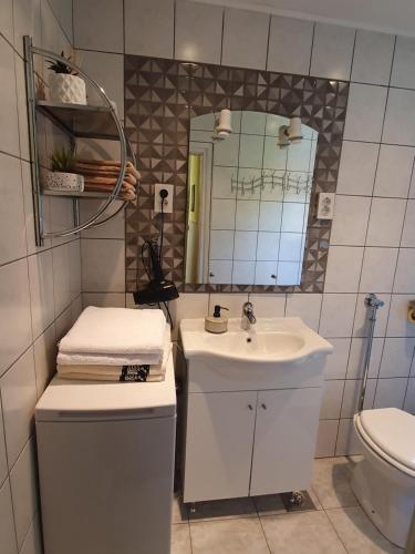 a bathroom with a sink and a toilet and a mirror at HH Klara in Ozalj