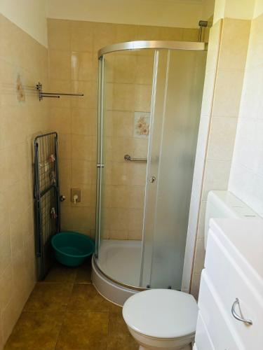 a bathroom with a shower and a toilet at Viola Apartman in Zamárdi