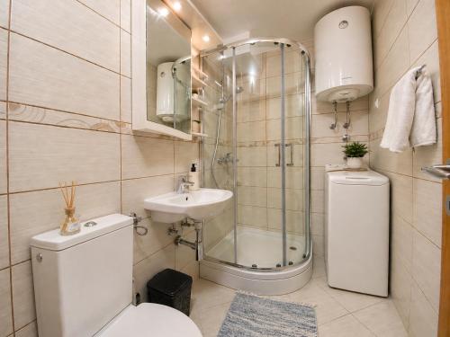 a bathroom with a toilet and a sink and a shower at Old Sailor`s house Rafailovici in Rafailovici