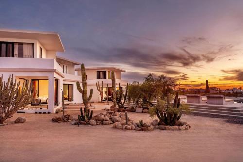 a house with a lot of cacti in front of it at Simple Stay, Big Views, Private Room & Pool in Todos Santos