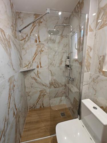 a bathroom with a shower with a toilet and a sink at Kamelia in Kokkari