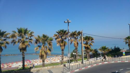 a view of a beach with palm trees and the ocean at Isramax Jerusalem Apartment in Bat-Yam in Bat Yam