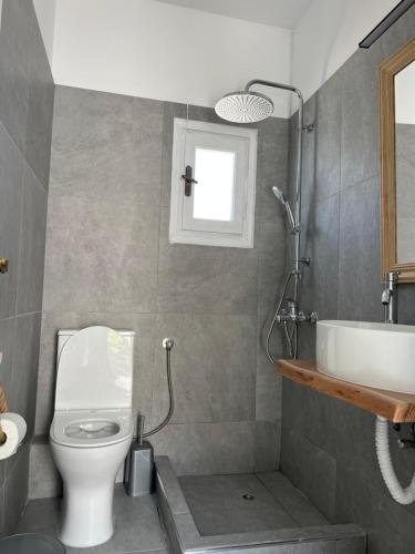 a bathroom with a toilet and a sink at Elena Studios in Panormos