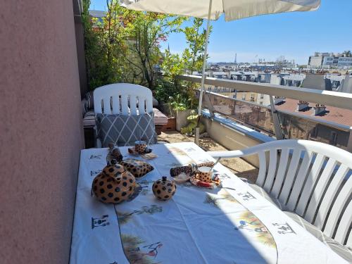 Très bel appartement avec vue sur la Tour Eiffel, grande terrasse, coucher de soleil Parisien