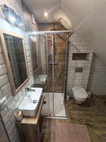 a bathroom with a shower and a sink and a toilet at Sądelska Chałpa in Murzasichle