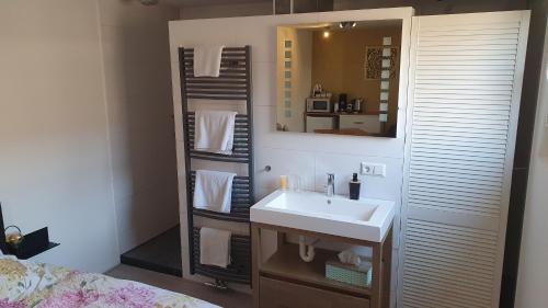 a bathroom with a sink and a mirror at Logeren op Dijk43 in Broek op Langedijk