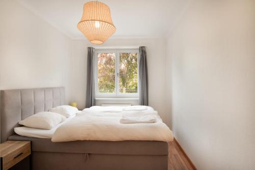 Cosy Oasis Prime Location near Google