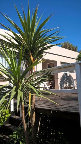 Billede fra billedgalleriet på Nirvana Pop i Ostende