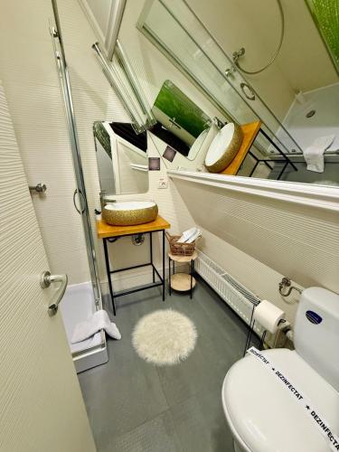 a small bathroom with a toilet and a mirror at Cabana Doinița in Borşa