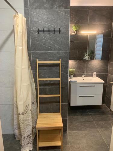 a bathroom with a sink and a toilet and a mirror at Villa Rubčić in Rakovica