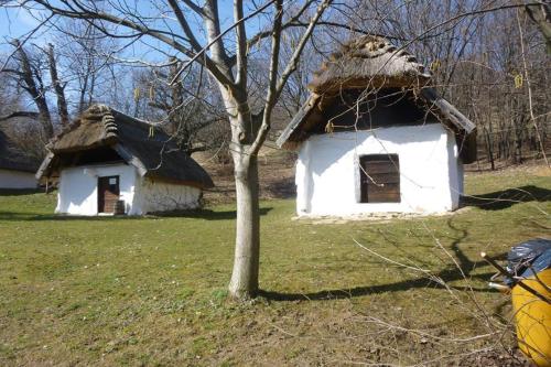 una casa antigua con techo de paja y un árbol en Vadszőlő Vendégház en Cák