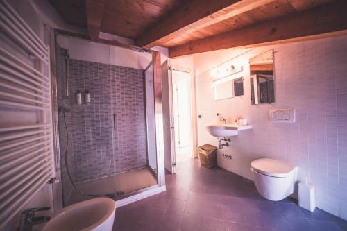 a bathroom with a shower and a toilet and a sink at Villa Maggie on Lake Como in Malgrate