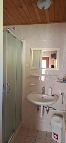 a bathroom with a sink and a shower and a toilet at Rooms-Apartment Renata in Bled
