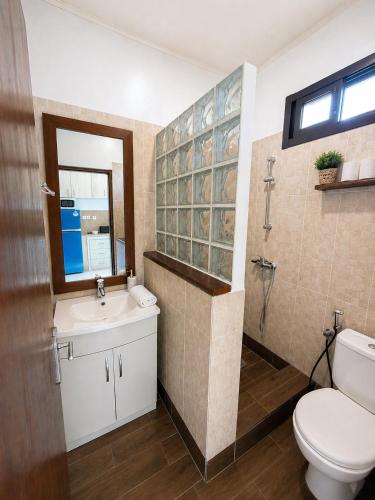 ein Badezimmer mit Toilette, Waschbecken und Dusche in der Unterkunft Garden Apartment Abidjan in Abidjan